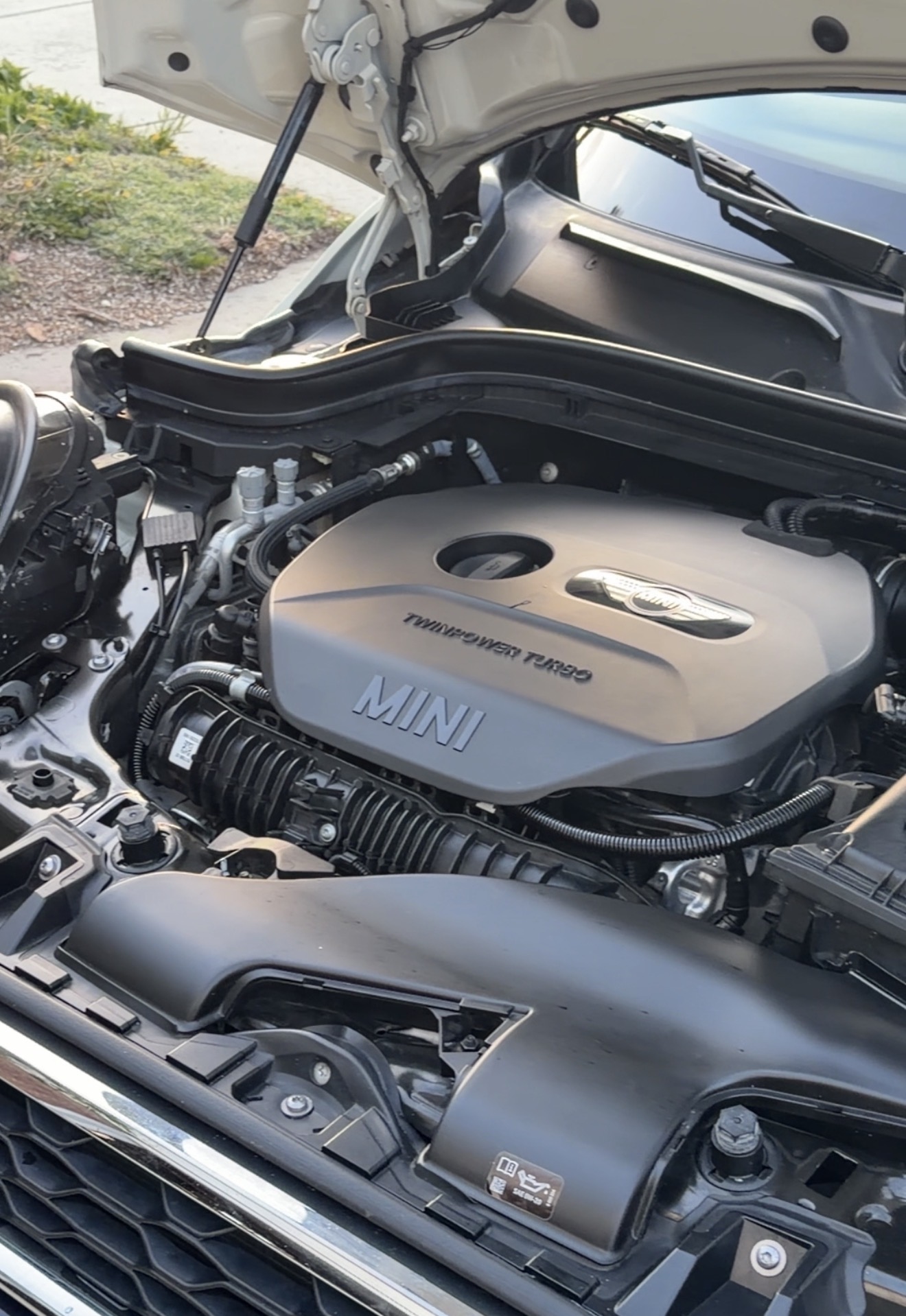Engine Bay Detail